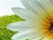 Люда Нагірняк фотография #22 (источник - https://vk.com/id86556399)