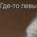 Інна Тодорчук фотография #46 (источник - https://vk.com/id155408833)