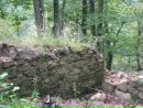 Віталь Луцьо фотография #41 (источник - https://vk.com/id76970111)