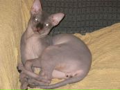 Фотография Колосова Дмитрия