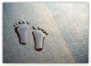 Фотография Антоновой Елены