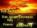 Коля Сірецький фотография #29 (источник - https://vk.com/id67968409)