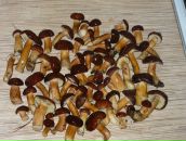 Фотография Мамкиной Екатерины