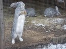Андрій Соловко фотография #21 (источник - https://vk.com/id141739242)