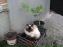 Вік@ Лижницька фотография #27 (источник - https://vk.com/id113198749)