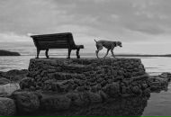 Фотография Донченко Дарьи