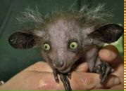 Sergio Katoni фотография #21 (источник - https://vk.com/id26246235)