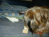 Иван Андреев фотография #23 (источник - https://vk.com/id2534545)