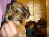 Иван Андреев фотография #41 (источник - https://vk.com/id2534545)