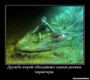 Інна Шевчук фотография #1