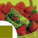 Κирилл Κириллов фотография #5 (источник - https://vk.com/id71902080)