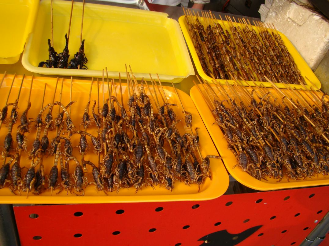 Kat Ост фотография #40