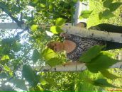 Фотография Гусевой Александры