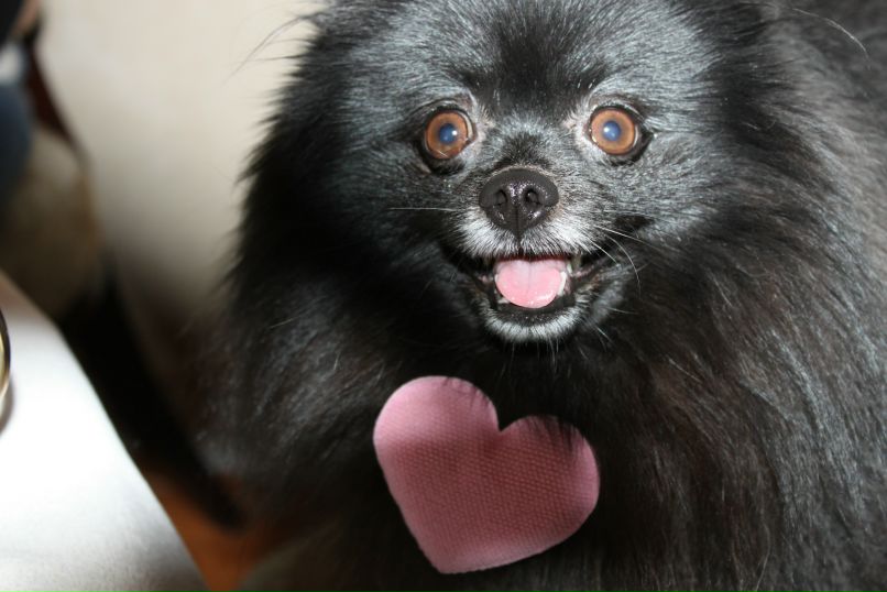 Olga Shell фотография #17