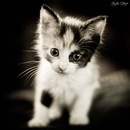 Катерина Білецька фотография #1