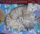 Фотография Алеевой Оксаны