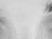 Антоніна Тригуба фотография #39 (источник - https://vk.com/id127424030)