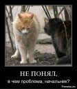 Віталік Скопик фотография #30 (источник - https://vk.com/id27872894)