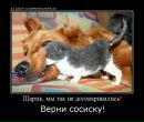Фотография Рахимова Айдара