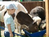 Татьяна Никитюк (Степанец) фотография #7 (источник - https://vk.com/id14270421)