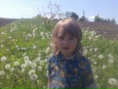 Сергій Краєвський фотография #35 (источник - https://vk.com/id150978248)