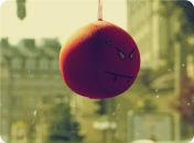 Дмитрий Додон фотография #43 (источник - https://vk.com/id1244633)