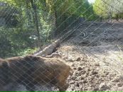 Едіта Багин фотография #20 (источник - https://vk.com/id69302832)