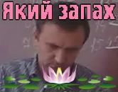 Діана Танащук фотография #50 (источник - https://vk.com/id58079476)