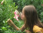 Фотография Аксеновой Алёны