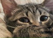 Фотография Фомичёва Максима