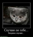 Вадим Вальків фотография #2 (источник - https://vk.com/id151241700)