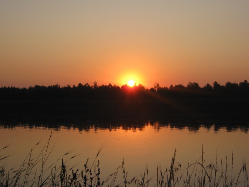 Александр Щепотьев фотография #19