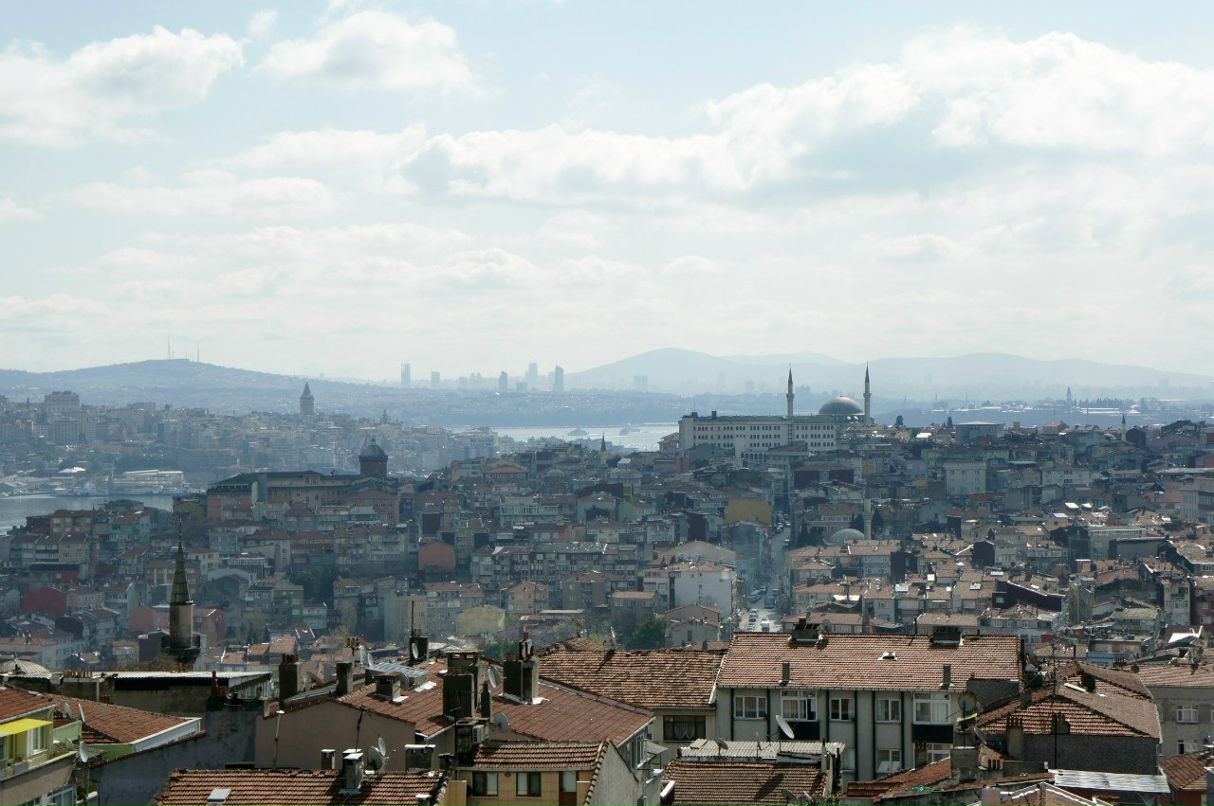 Роман Шипилов фотография #46