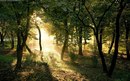 Андрій Галушка фотография #30 (источник - https://vk.com/id151015516)