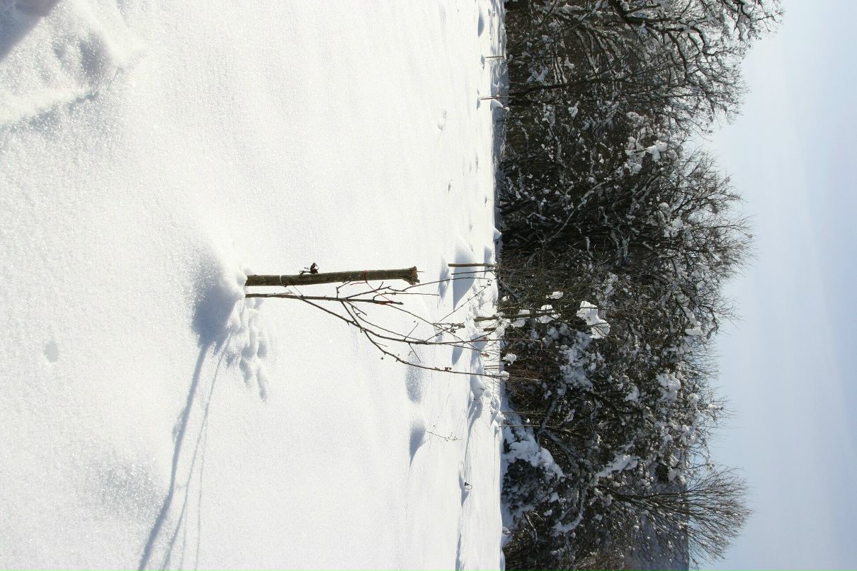 Дмитрий Нестеров фотография #43