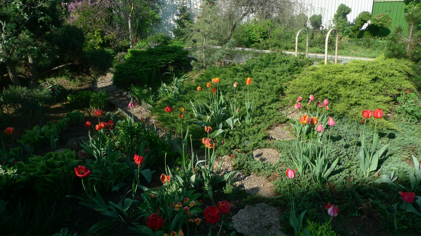 Георгий Никитенко фотография #44