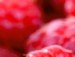 Ірина Васьо фотография #23 (источник - https://vk.com/id150632475)