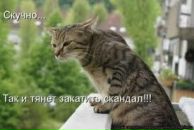 Ольга Цубикс фотография #17 (источник - https://vk.com/id467776)