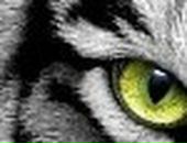 Лілюсік Калінчук фотография #48 (источник - https://vk.com/id66320175)