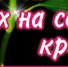 Марта Курпіта фотография #19 (источник - https://vk.com/id143003002)