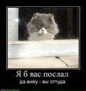 Фотография Макрянского Владимира