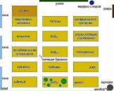 Андрій Гончаренко фотография #44 (источник - https://vk.com/id7058672)