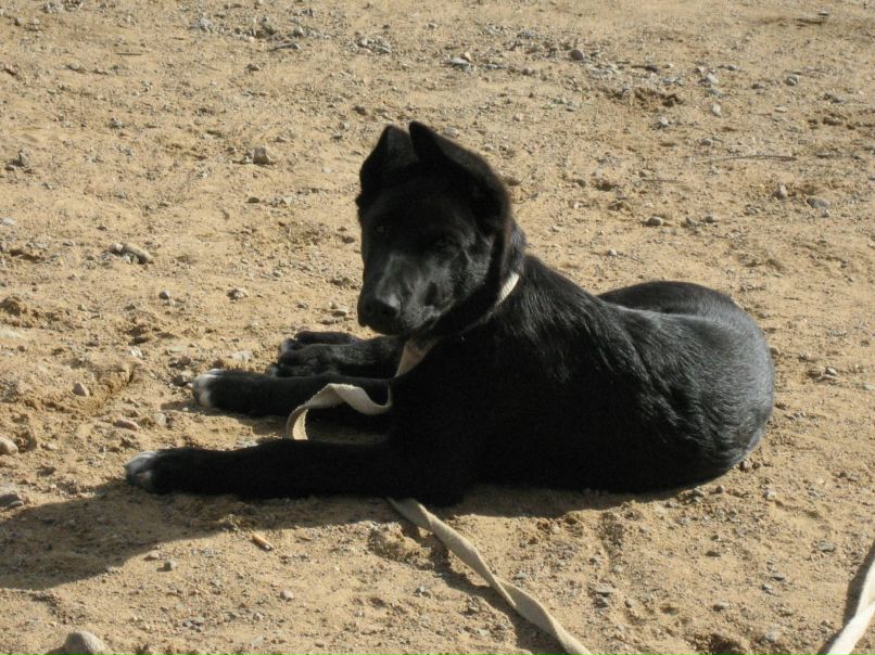 Роман Савиных фотография #13