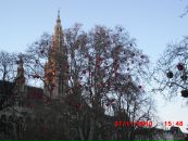 Коля Кропотніцький фотография #35 (источник - https://vk.com/id56397485)