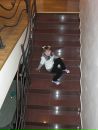 Віка Белей фотография #8 (источник - https://vk.com/id170198673)