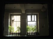 Девид Паркер фотография #3 (источник - https://vk.com/id4767619)