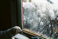 Девид Паркер фотография #14 (источник - https://vk.com/id4767619)