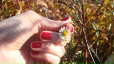 Фотография Новаковой Марии