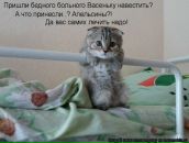 Ігорьок Боровіцький фотография #22 (источник - https://vk.com/id69368607)