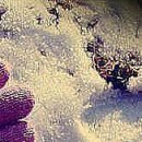 Олічка Юраш фотография #14 (источник - https://vk.com/id153876365)